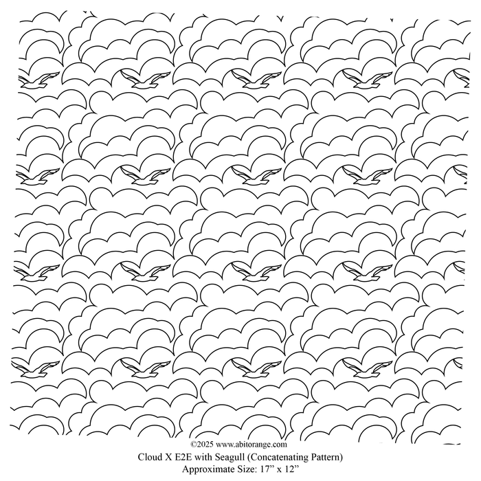 Cloud X with Seagull