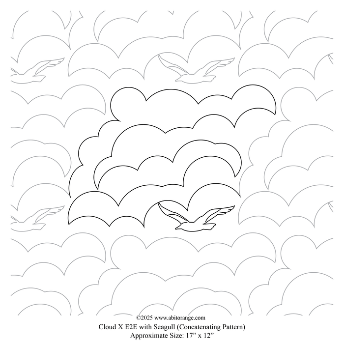 Cloud X with Seagull