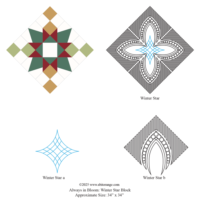 Always in Bloom Winter Star