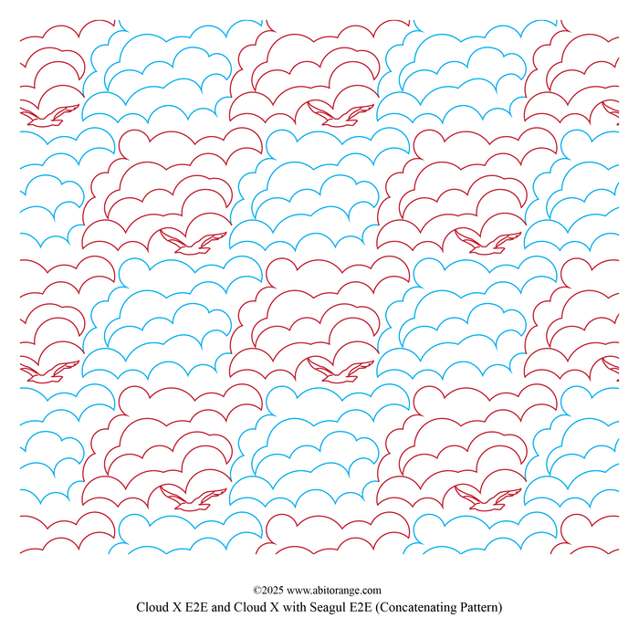 Cloud X with Seagull