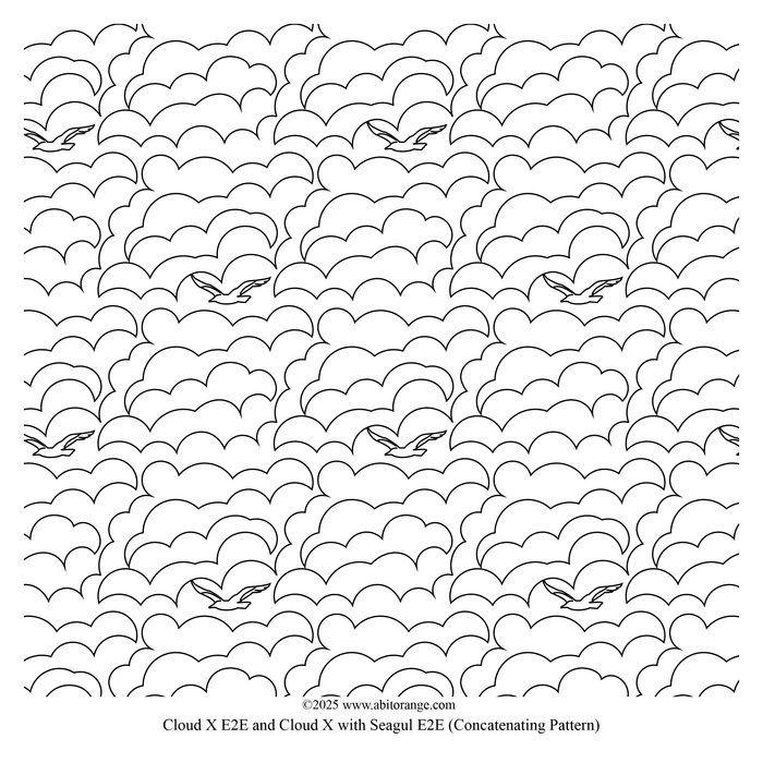 Cloud X with Seagull