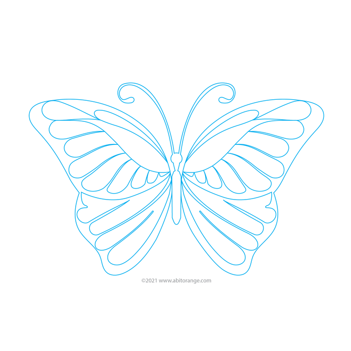 Butterfly 07