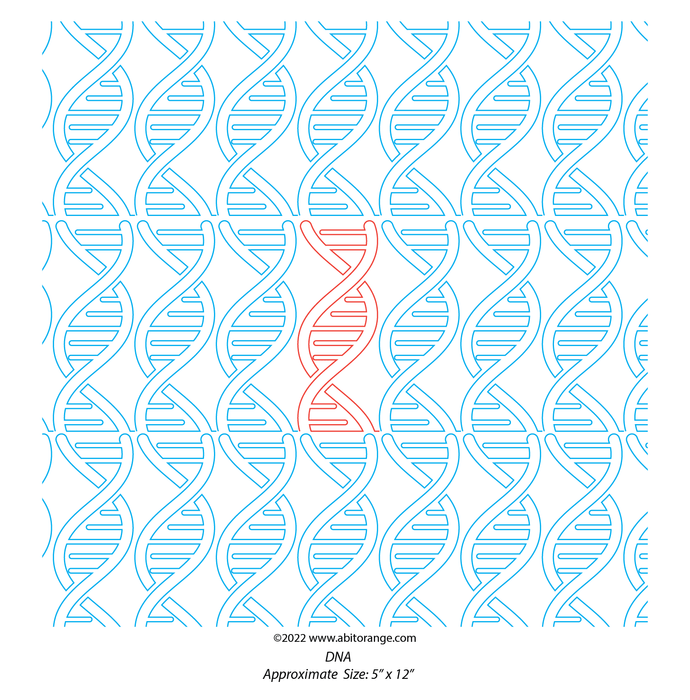 DNA E2E