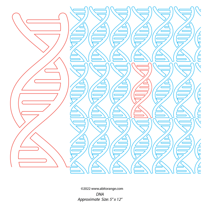 DNA E2E