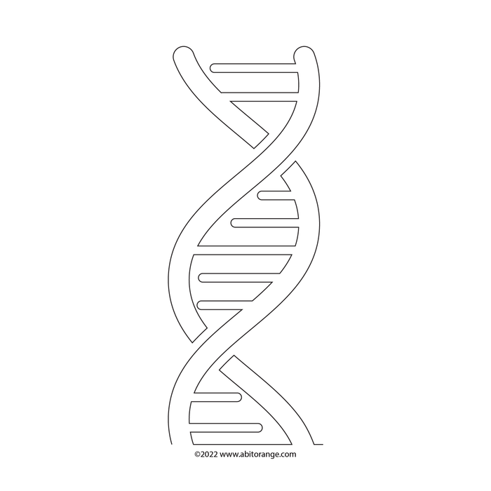 DNA E2E