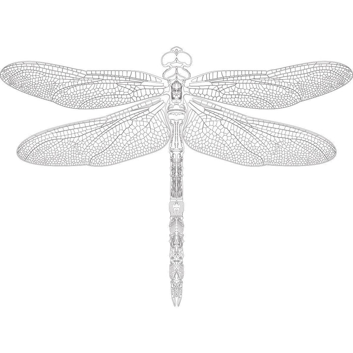 Dragonfly Obsession (Award Winning)